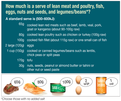 Lean meat and poultry, fish, eggs, tofu, nuts and seeds and legumes/beans